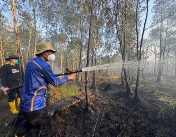 Kabupaten Banjar Dapat Bantuan Penanganan Karhutla BUPATI Banjar, H Saidi Mansyur turut memadamkan karhutla yang terjadi di wilayah Kabupaten Banjar.(foto:mb/ist)