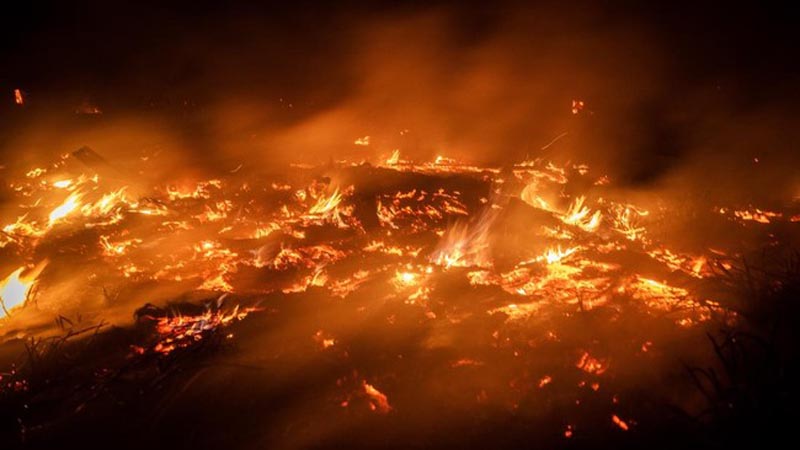 Polda Kalsel: Pihak Asing Diduga Terlibat Kasus Pembakaran Lahan ILUSTRASI api berkobar saat terjadi kebakaran hutan dan lahan (karhutla) di salah satu wilayah di Kalimantan Selatan.